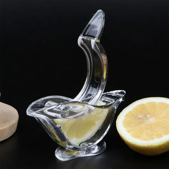 presse agrume manuel rapide bird